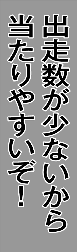 出走数が少ないから当たりやすいぞ！