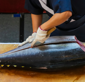 マグロ解体ショー